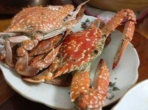 吃花蟹能吃白瓜吗视频,美味海鲜的完美组合揭秘