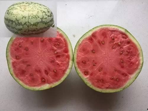 大蓝瓜没有籽可以吃吗视频,轻松享受美味无困扰