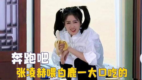 白鹿吐槽吃瓜视频,揭秘娱乐圈吃瓜背后的真相