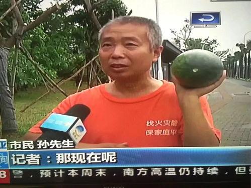 亚运会名人吃瓜事件视频,一场意外引发的舆论狂欢