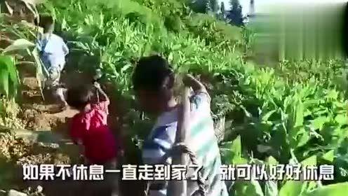 燕山吃瓜事件视频全集免费,揭秘视频全集背后的惊人真相  第2张