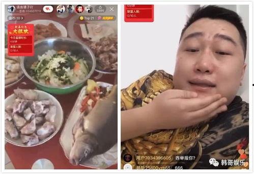 给驴哥吃哈密瓜视频播放,欢乐瞬间引网友热议  第3张